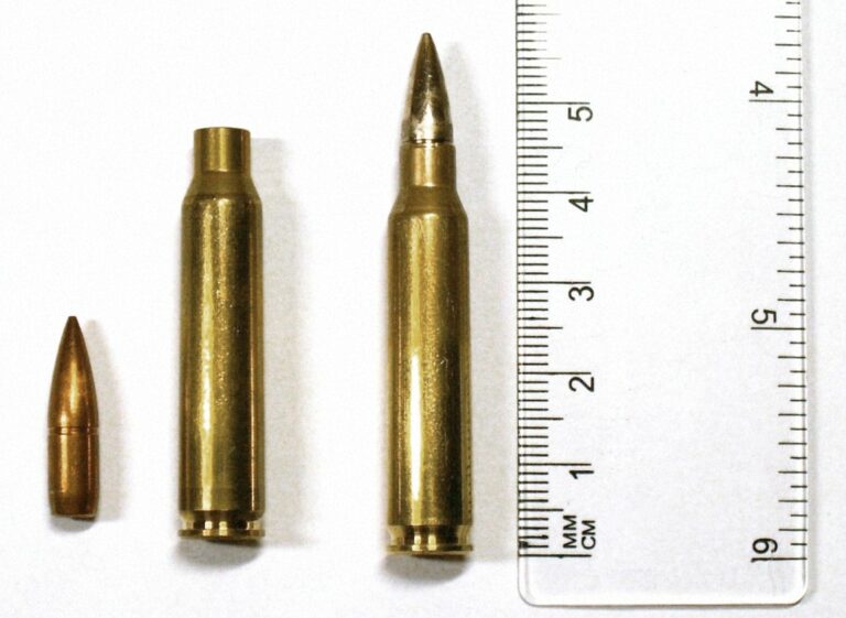 M16 ammunition image