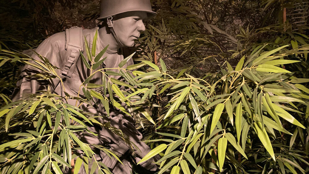 SCCRRMM jungle exhibit image